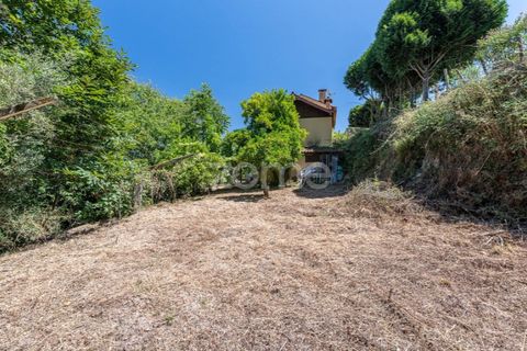 Villa i Ponte de Lima, Viana do Castelo, Ponte de Lima - € 350.000 | Ref: ZMPT583222 - foto 40