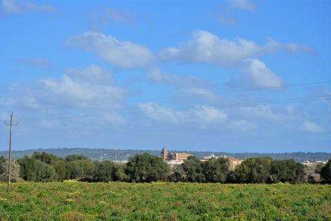 Landejendom i Campos, Mallorca, Campos - € 560.000 | Ref: 3037 - foto 1