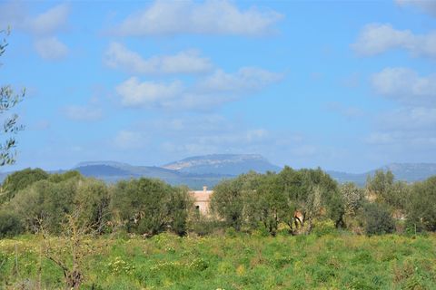 Landejendom i Campos, Mallorca, Campos - € 560.000 | Ref: 3037 - foto 7