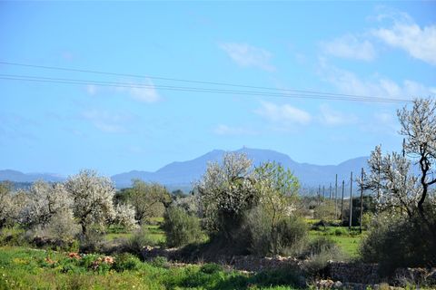 Landejendom i Campos, Mallorca, Campos - € 560.000 | Ref: 3037 - foto 8