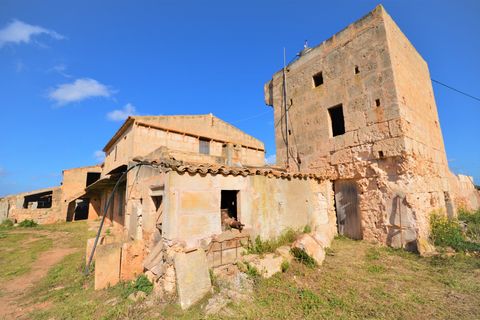 Landejendom i Campos, Mallorca, Campos - € 560.000 | Ref: 3037 - foto 6