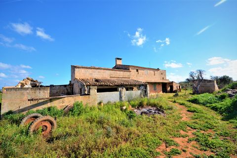 Landejendom i Campos, Mallorca, Campos - € 560.000 | Ref: 3037 - foto 9