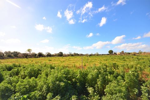 Landejendom i Campos, Mallorca, Campos - € 560.000 | Ref: 3037 - foto 10