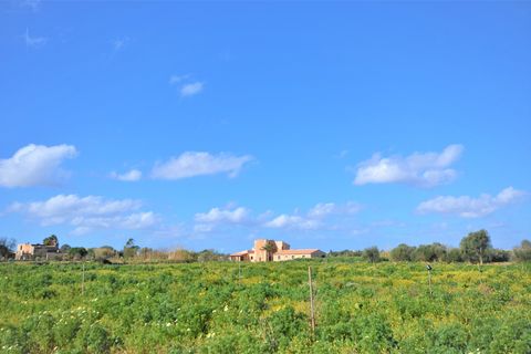 Landejendom i Campos, Mallorca, Campos - € 560.000 | Ref: 3037 - foto 11
