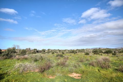 Helårsgrund i Cala Figuera, Mallorca, Cala Figuera - € 795.000 | Ref: 6045 - foto 2