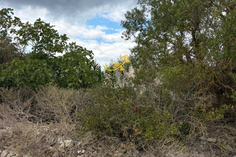 Landejendom i Noci, Bari, Noci - € 75.000 | Ref: R 531 - foto 7