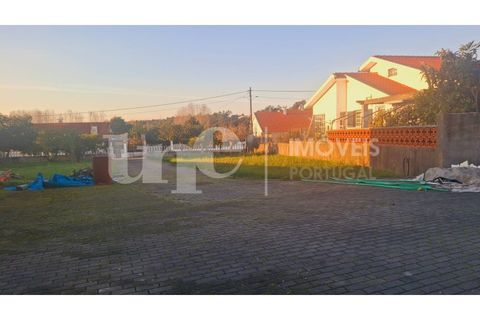 Villa i Anadia, Aveiro, Anadia - € 277.500 | Ref: CAS_319 - foto 23