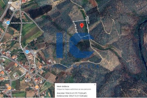 Helårsgrund i Agueda, Aveiro, Agueda - € 12.700 | Ref: 20251100109 c - foto 1