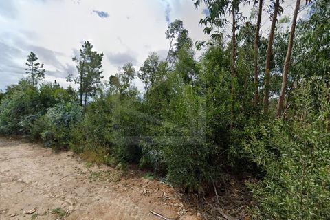 Helårsgrund i Ovar, Aveiro, Ovar - € 565.000 | Ref: 8050 - foto 4