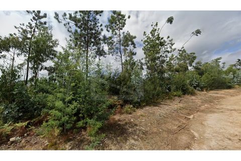 Helårsgrund i Ovar, Aveiro, Ovar - € 565.000 | Ref: 8050 - foto 5