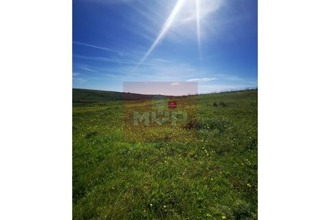 Helårsgrund i Sagres, Faro, Sagres - € 12.500 | Ref: 170250091 - foto 7