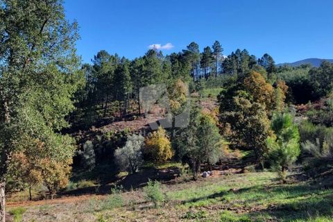 Helårsgrund i Fundao, Castelo Branco, Fundao - € 17.000 | Ref: H760 - foto 1