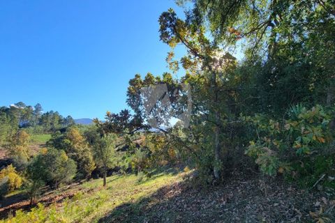 Helårsgrund i Fundao, Castelo Branco, Fundao - € 17.000 | Ref: H760 - foto 2