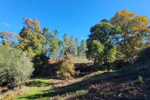 Helårsgrund i Fundao, Castelo Branco, Fundao - € 17.000 | Ref: H760 - foto 3
