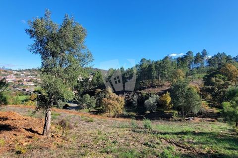Helårsgrund i Fundao, Castelo Branco, Fundao - € 17.000 | Ref: H760 - foto 4