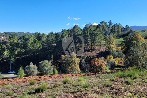 Helårsgrund i Fundao, Castelo Branco, Fundao - € 17.000 | Ref: H760 - foto 6