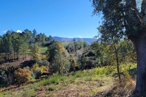 Helårsgrund i Fundao, Castelo Branco, Fundao - € 17.000 | Ref: H760 - foto 7