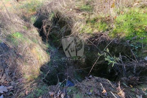 Helårsgrund i Fundao, Castelo Branco, Fundao - € 17.000 | Ref: H760 - foto 9