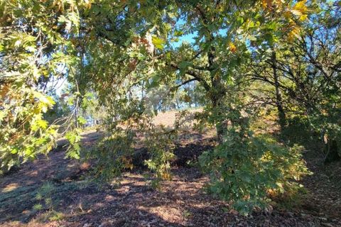 Helårsgrund i Fundao, Castelo Branco, Fundao - € 17.000 | Ref: H760 - foto 10