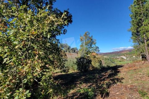 Helårsgrund i Fundao, Castelo Branco, Fundao - € 17.000 | Ref: H760 - foto 11
