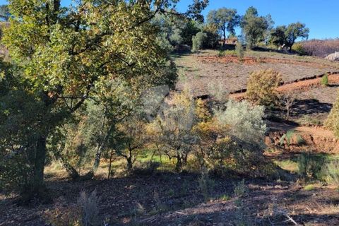 Helårsgrund i Fundao, Castelo Branco, Fundao - € 17.000 | Ref: H760 - foto 12
