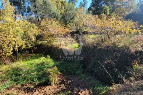 Helårsgrund i Fundao, Castelo Branco, Fundao - € 17.000 | Ref: H760 - foto 14