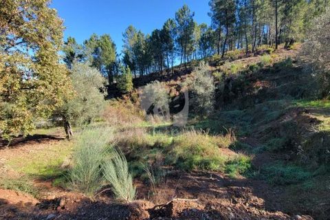 Helårsgrund i Fundao, Castelo Branco, Fundao - € 17.000 | Ref: H760 - foto 15