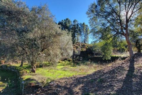 Helårsgrund i Fundao, Castelo Branco, Fundao - € 17.000 | Ref: H760 - foto 18