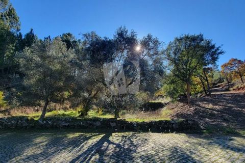 Helårsgrund i Fundao, Castelo Branco, Fundao - € 17.000 | Ref: H760 - foto 19