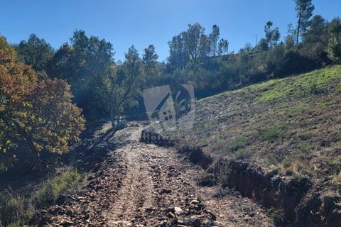 Helårsgrund i Fundao, Castelo Branco, Fundao - € 17.000 | Ref: H760 - foto 20
