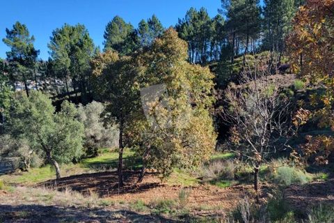 Helårsgrund i Fundao, Castelo Branco, Fundao - € 17.000 | Ref: H760 - foto 21