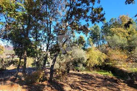 Helårsgrund i Fundao, Castelo Branco, Fundao - € 17.000 | Ref: H760 - foto 22