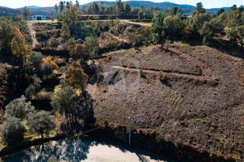 Helårsgrund i Fundao, Castelo Branco, Fundao - € 17.000 | Ref: H760 - foto 25
