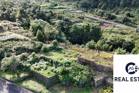 Helårsgrund i Porto Moniz, Madeira, Porto Moniz - € 105.000 | Ref: Seixal - Rustico - foto 3