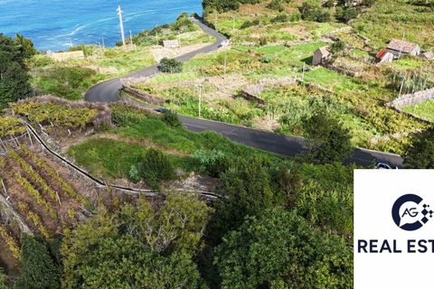 Helårsgrund i Porto Moniz, Madeira, Porto Moniz - € 105.000 | Ref: Seixal - Rustico - foto 5