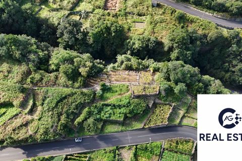 Helårsgrund i Porto Moniz, Madeira, Porto Moniz - € 105.000 | Ref: Seixal - Rustico - foto 7