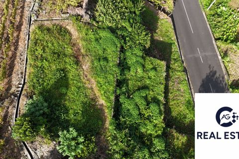 Helårsgrund i Porto Moniz, Madeira, Porto Moniz - € 105.000 | Ref: Seixal - Rustico - foto 8