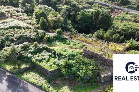 Helårsgrund i Porto Moniz, Madeira, Porto Moniz - € 105.000 | Ref: Seixal - Rustico - foto 16