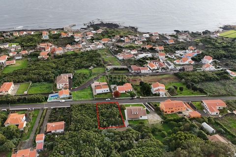 Tomt i Porto martins, Terceira, Porto martins - € 150 000 | Ref: C0423-00646 - foto 3