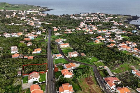 Tomt i Porto martins, Terceira, Porto martins - € 150 000 | Ref: C0423-00646 - foto 6