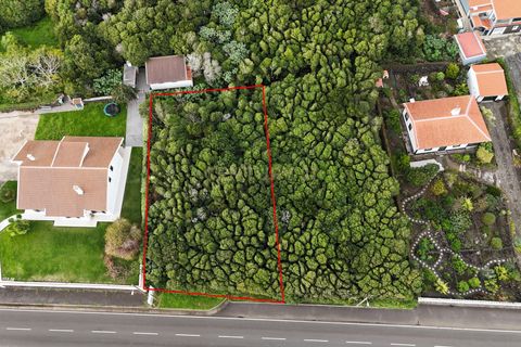 Tomt i Porto martins, Terceira, Porto martins - € 150 000 | Ref: C0423-00646 - foto 8
