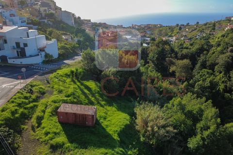 Helårsgrund i Caniço, Madeira, Caniço - € 250.000 | Ref: TER_4795 - foto 1