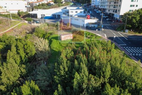 Helårsgrund i Caniço, Madeira, Caniço - € 250.000 | Ref: TER_4795 - foto 3