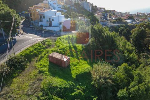 Helårsgrund i Caniço, Madeira, Caniço - € 250.000 | Ref: TER_4795 - foto 4