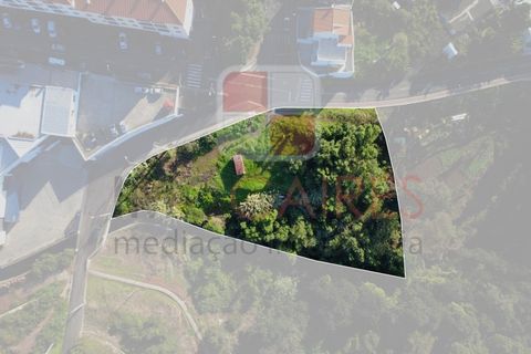 Helårsgrund i Caniço, Madeira, Caniço - € 250.000 | Ref: TER_4795 - foto 7
