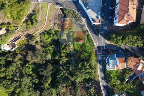 Helårsgrund i Caniço, Madeira, Caniço - € 250.000 | Ref: TER_4795 - foto 8