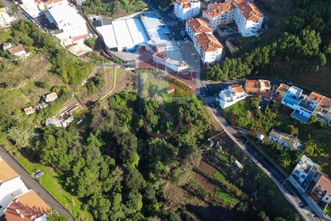 Helårsgrund i Caniço, Madeira, Caniço - € 250.000 | Ref: TER_4795 - foto 9