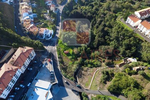 Helårsgrund i Caniço, Madeira, Caniço - € 250.000 | Ref: TER_4795 - foto 13