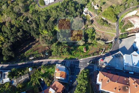 Helårsgrund i Caniço, Madeira, Caniço - € 250.000 | Ref: TER_4795 - foto 15