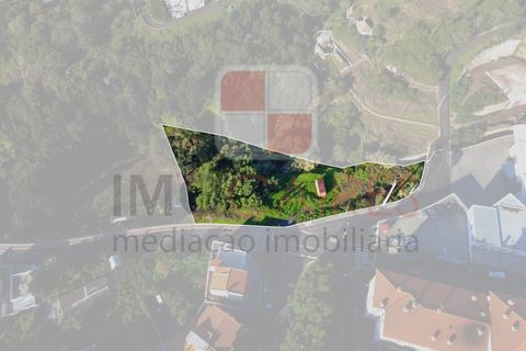 Helårsgrund i Caniço, Madeira, Caniço - € 250.000 | Ref: TER_4795 - foto 16